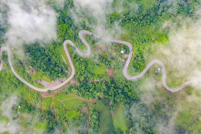 High angle view of horse in water