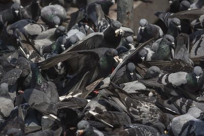 High angle view of garbage in row