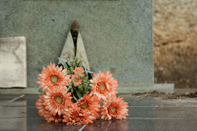 Close-up of flowers