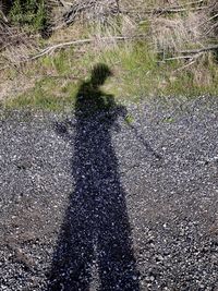 Shadow of person on field