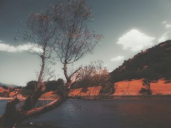 Scenic view of mountain against sky