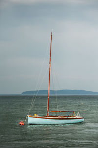 Boats sailing in sea