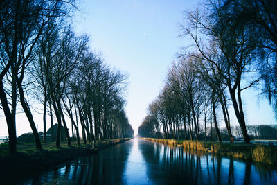 Scenic view of trees along river