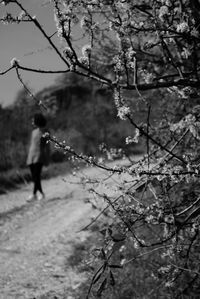 Rear view of man standing on tree