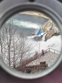 Reflection of bare trees on glass window