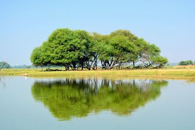 Scenic view of lake against clear sky