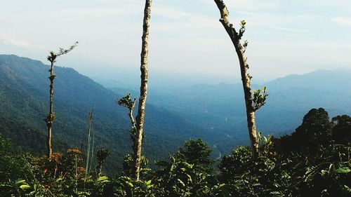 Scenic view of mountains against cloudy sky