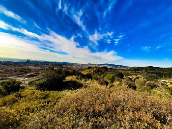 Scenic view of landscape against blue sky