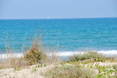 Scenic view of sea against clear sky