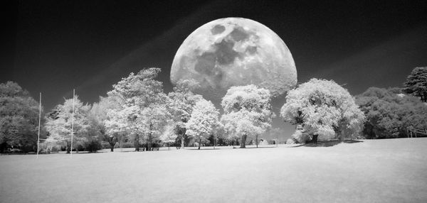 Panoramic shot of trees on field against sky at night