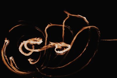 Close-up of light painting against black background