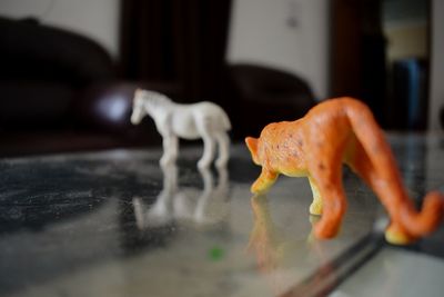 Close-up of snake on table