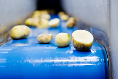 Close-up of food in container