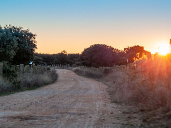 Dirt road amidst field against clear sky during sunset