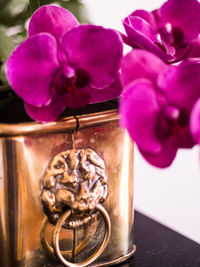 Close-up of pink orchids on table