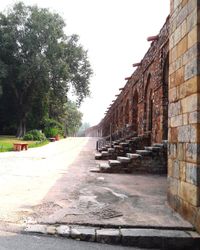 Road amidst trees in city against sky