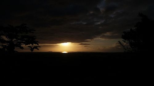 Silhouette trees against sky during sunset