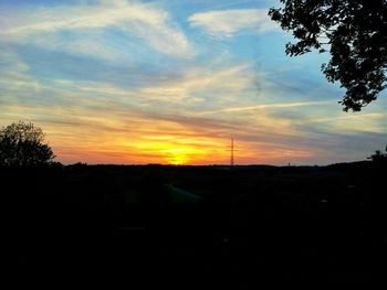 Silhouette trees on field against sky during sunset