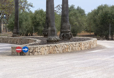 View of bench in park