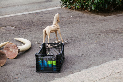 High angle view of dog on abandoned floor