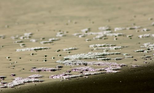 Garbage at beach