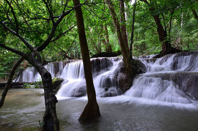 Scenic view of waterfall in forest