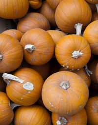 Full frame shot of pumpkins