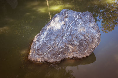 High angle view of rock in lake