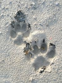 High angle view of footprints on sand at beach