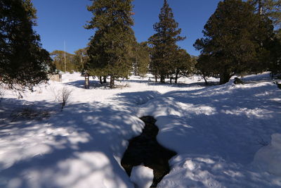 snow