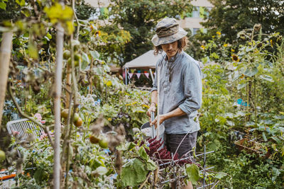 Young male volunteer watering plants with can in community garden