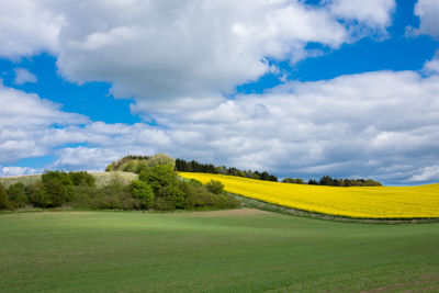 Scenic view of field against sky