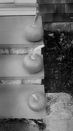 High angle view of pumpkins against wall