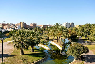 Palm trees by swimming pool in city against clear sky