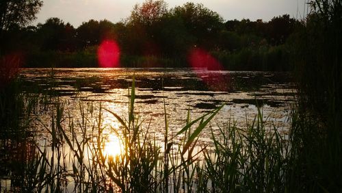 Sunset over lake