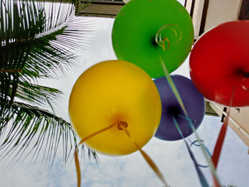 Low angle view of balloons on tree