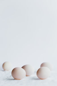 Close-up of eggs against white background