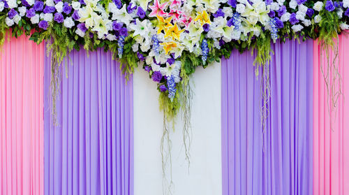 Purple flowering plants against blue wall