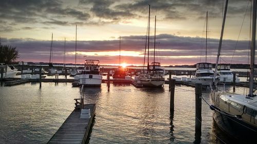 Boats moored at harbor