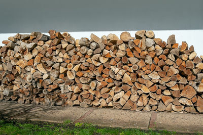 Stack of logs in forest