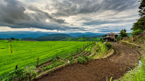 Scenic view of agricultural field against sky