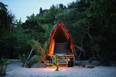 Illuminated tent on sand at beach against trees