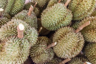 High angle view of fruits for sale at market