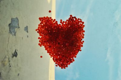 High angle view of red berries against white wall