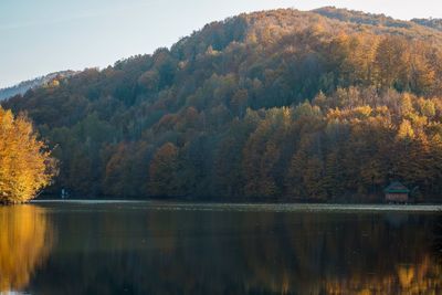 Scenic view of lake by trees during autumn