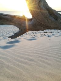 Close-up of sand dune on beach