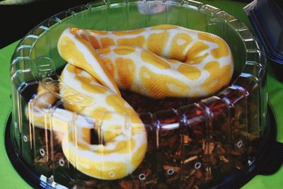 High angle view of fruits in glass on table