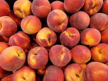 High angle vie of fresh organic peaches for sale in a farmer market. fresh summer local fruit.