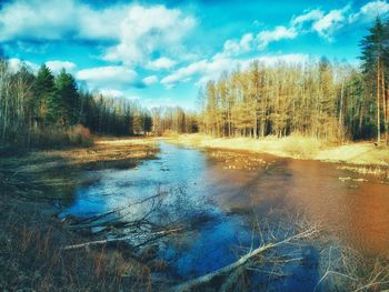 Scenic view of river amidst trees in forest against sky