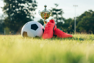 Soccer ball on field